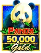 โปรแกรม สแกน สล็อต pg สำหรับทดลองเล่นที่น่าสนใจ